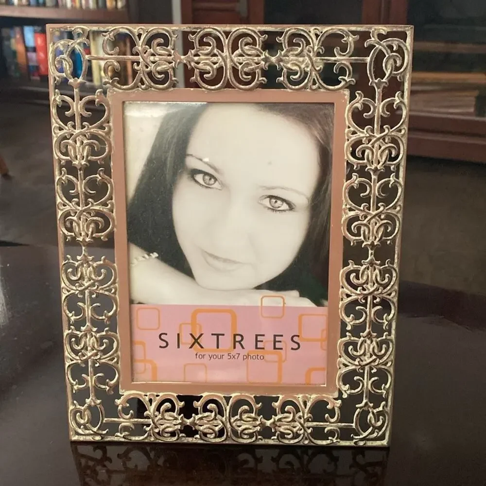 Vintage Sixtrees metal filigree open 5x7” photograph frame‎